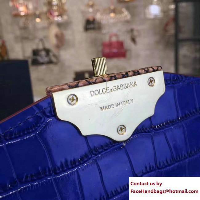 Dolce  &  Gabbana Shoulder Bag Red/Blue 2017